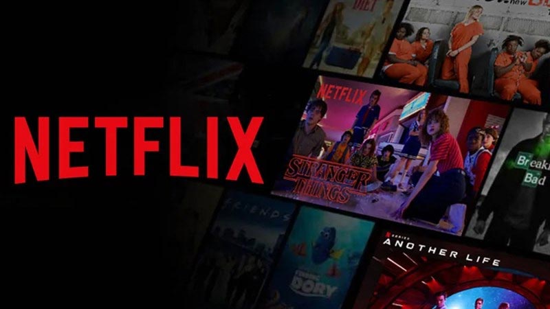 Netflix: The Pioneer of Streaming Entertainment